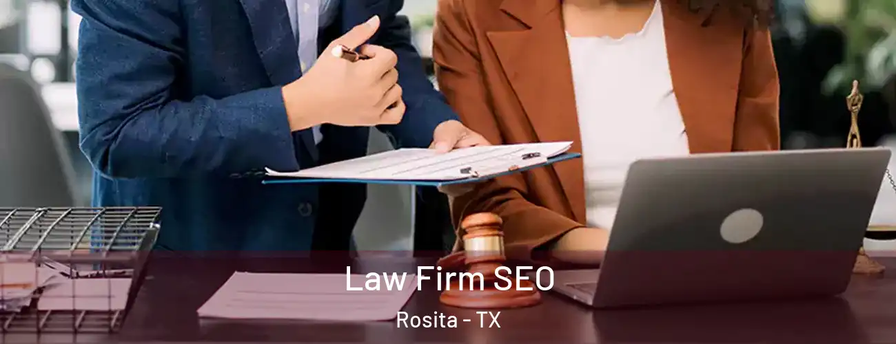  Law Firm SEO Rosita - TX