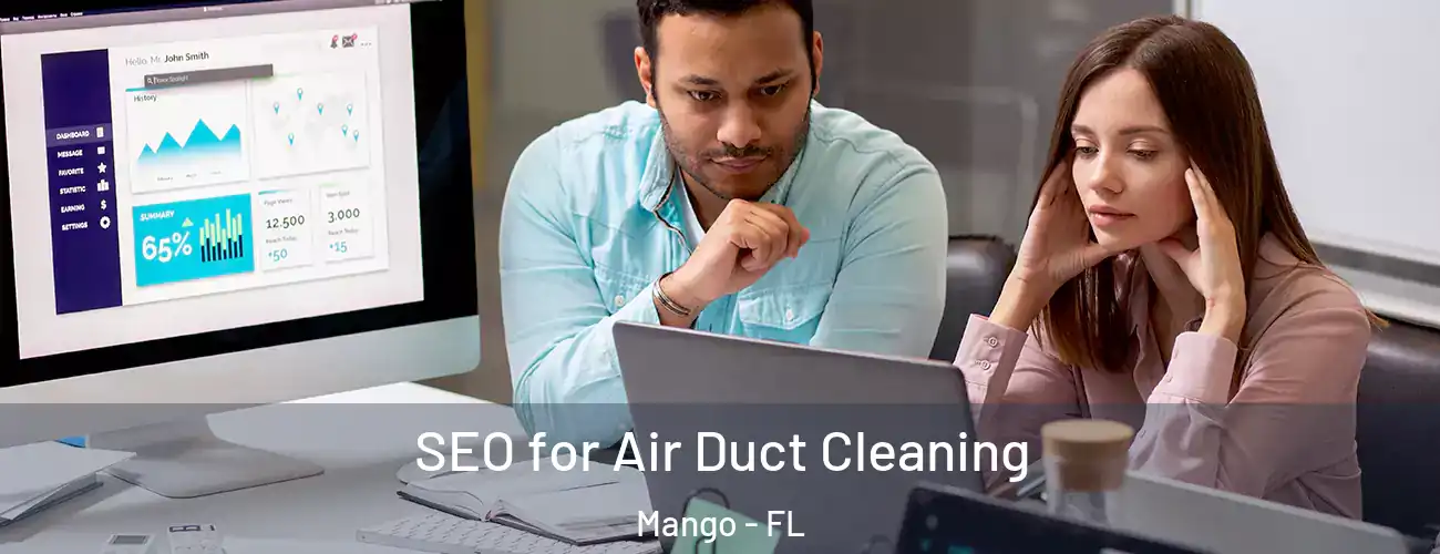  SEO for Air Duct Cleaning Mango - FL