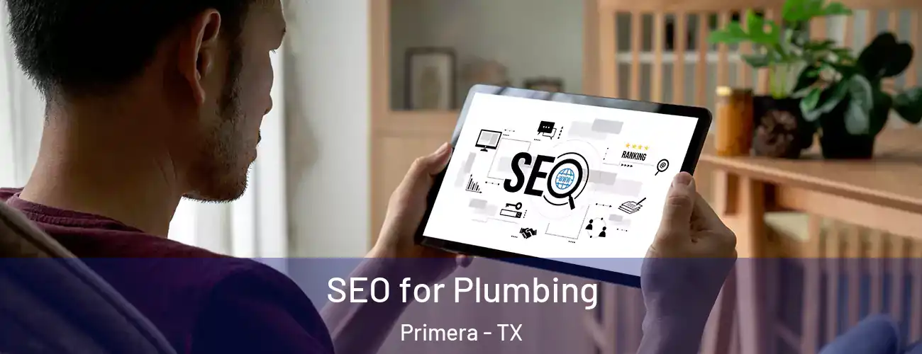  SEO for Plumbing Primera - TX