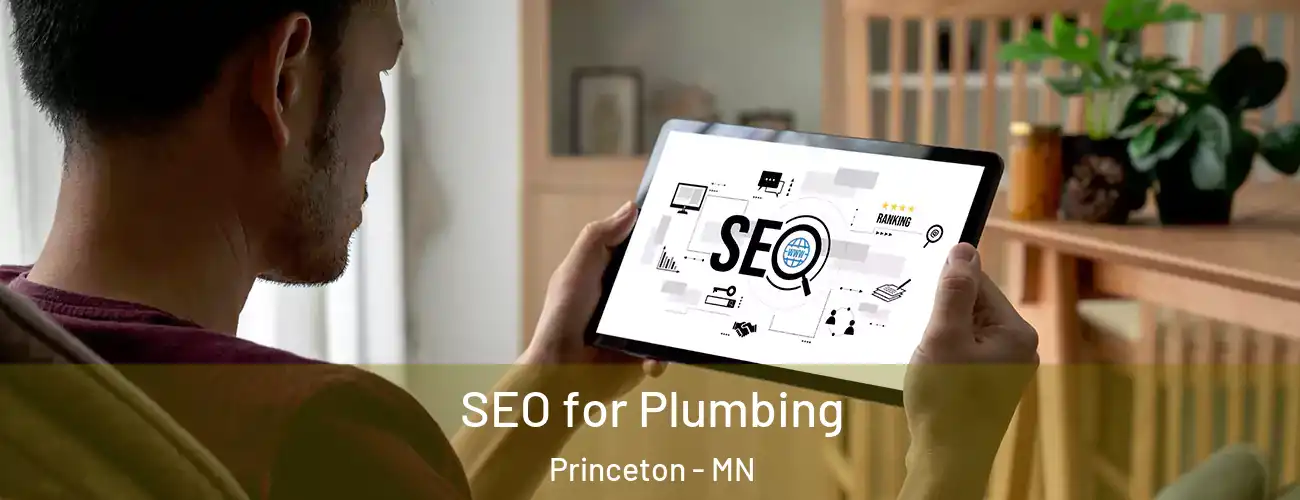  SEO for Plumbing Princeton - MN