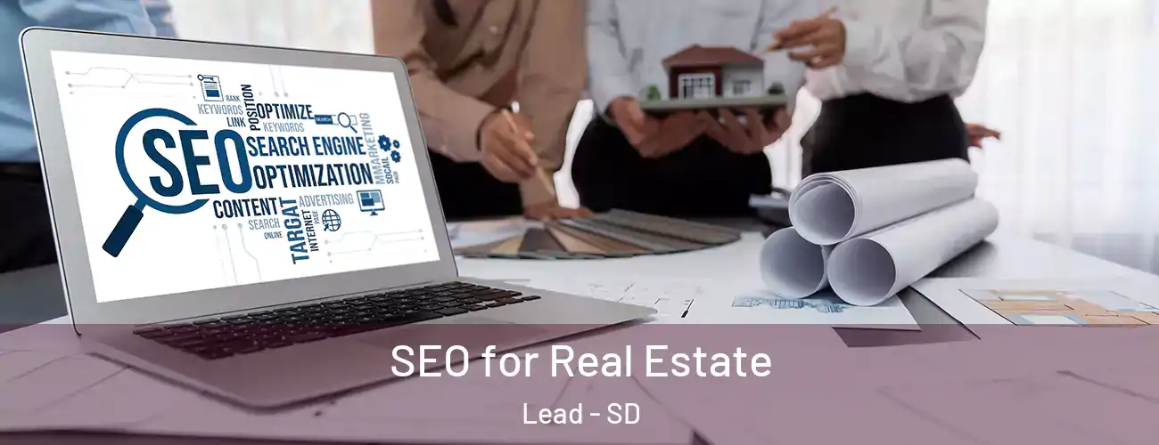  SEO for Real Estate Lead - SD