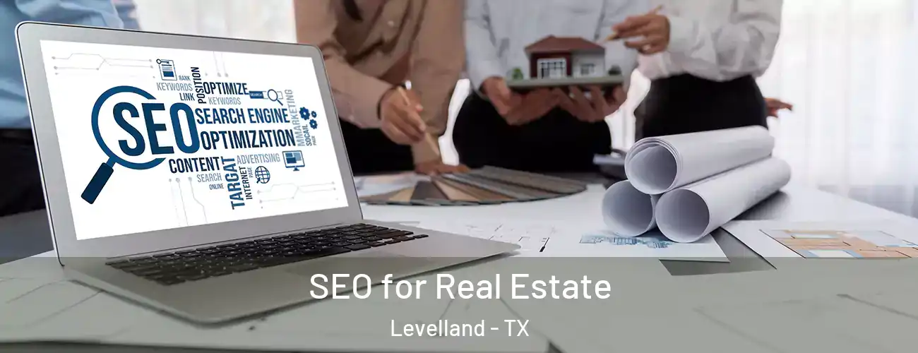 SEO for Real Estate Levelland - TX