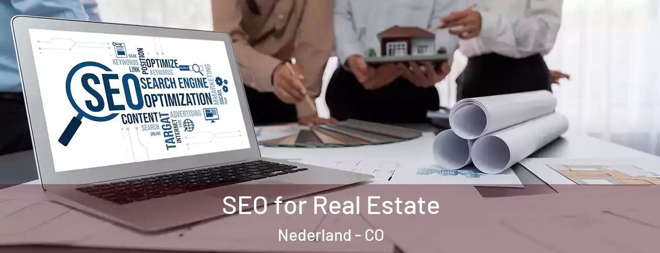  SEO for Real Estate Nederland - CO