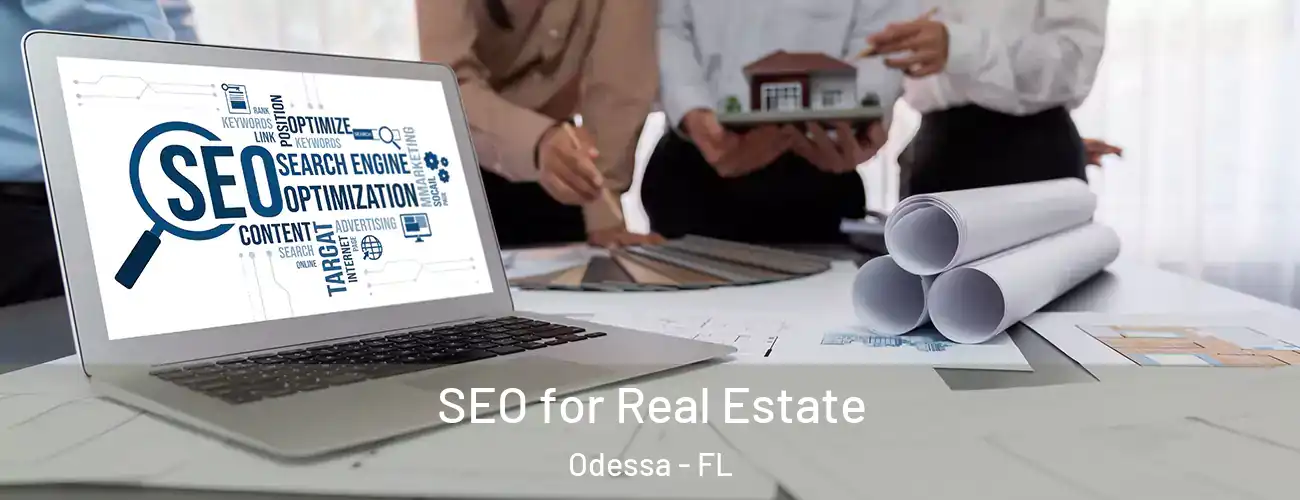  SEO for Real Estate Odessa - FL