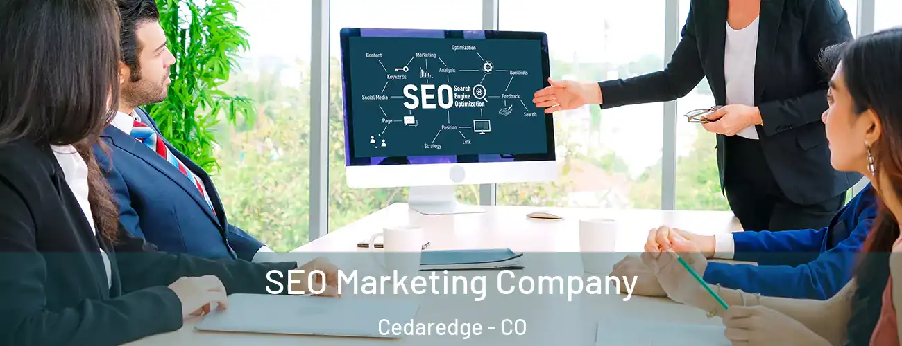  SEO Marketing Company Cedaredge - CO