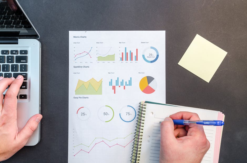 Texas SEO services