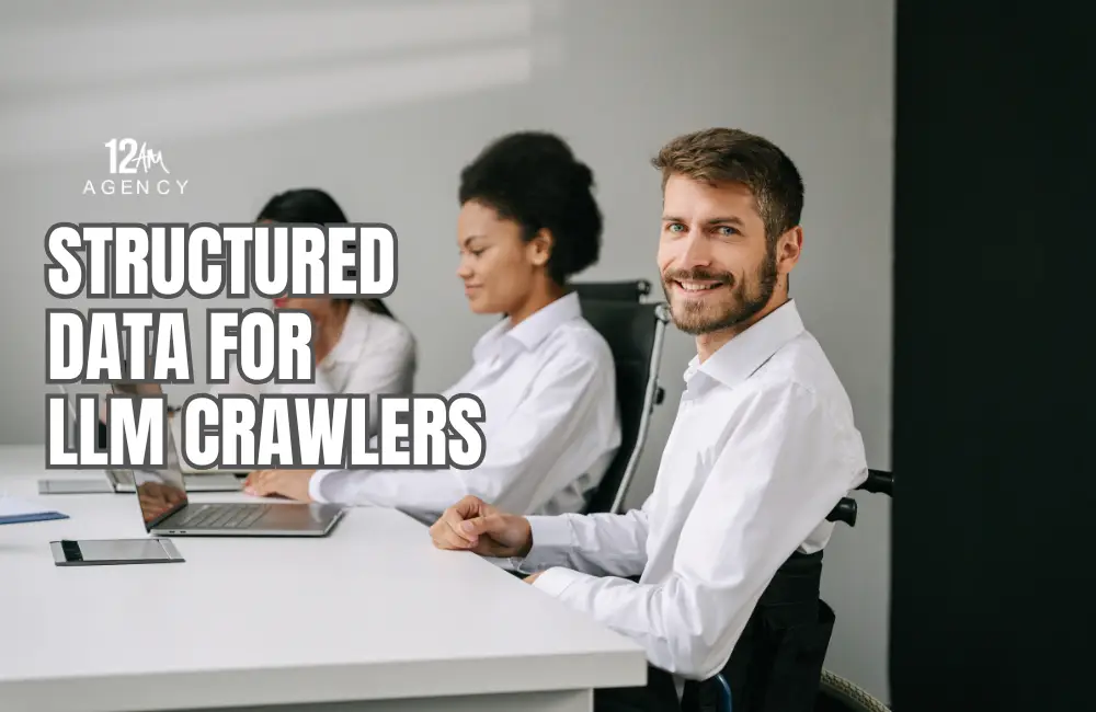 Structured Data for LLM Crawlers