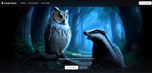 Google Veo